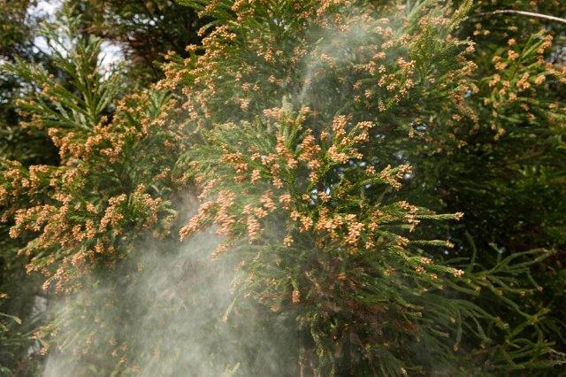 桜の綺麗な季節ですね