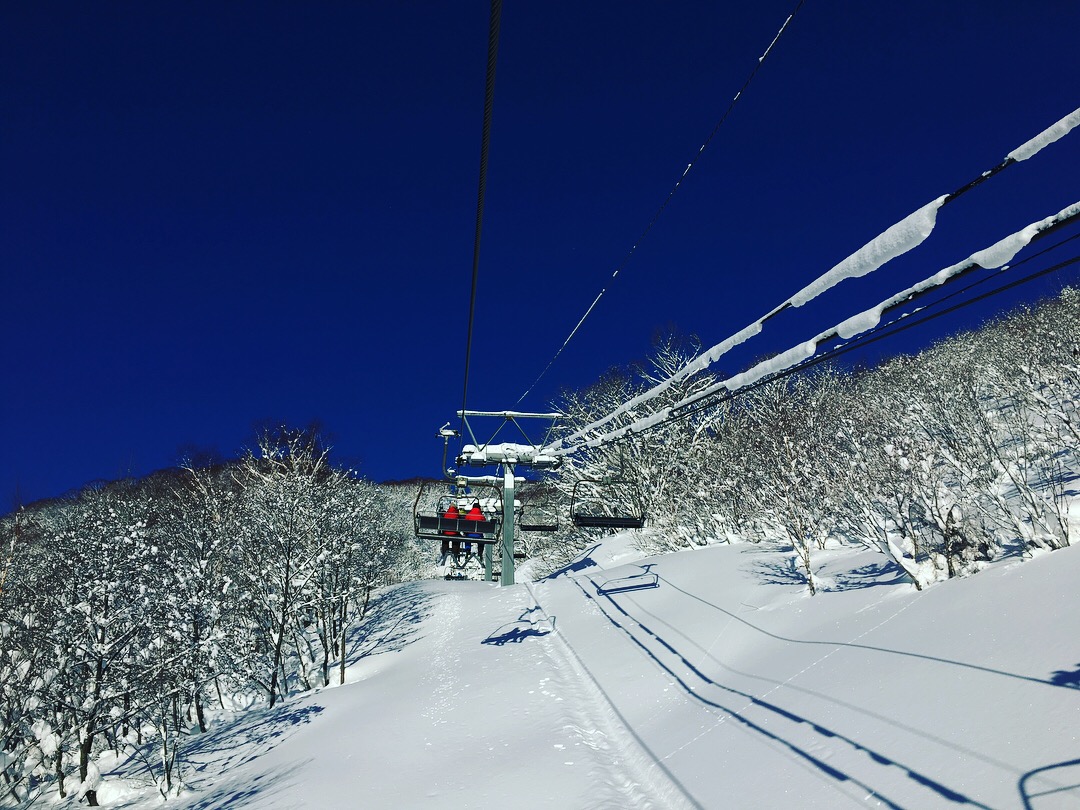 スタッフブログはじめました