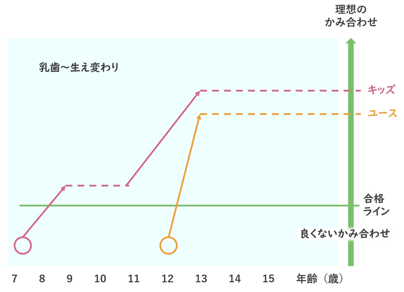 歯の矯正のプランニング